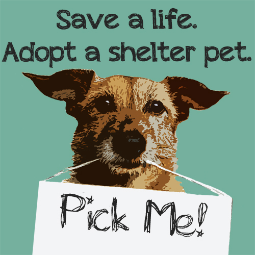 save_a_life_adopt_a_shelter_pet.jpg